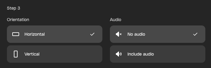 A screenshot of a user interface with the heading 'Step 3'. Under 'Orientation', 'Horizontal' is selected. Under 'Audio', 'No audio' is selected.